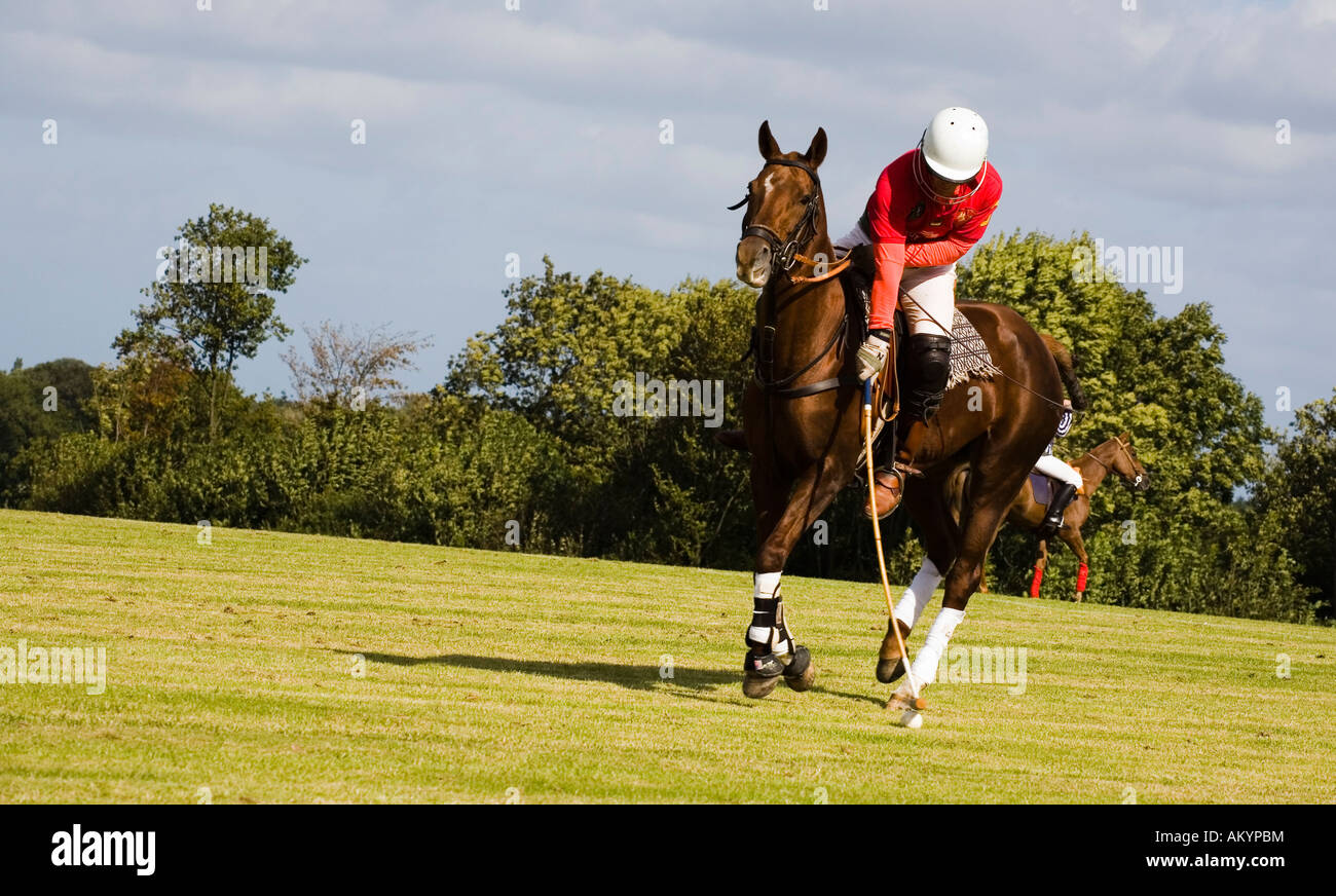 Polo tournament, Timmendorf, Schleswig-Holstein, Germany Stock Photo