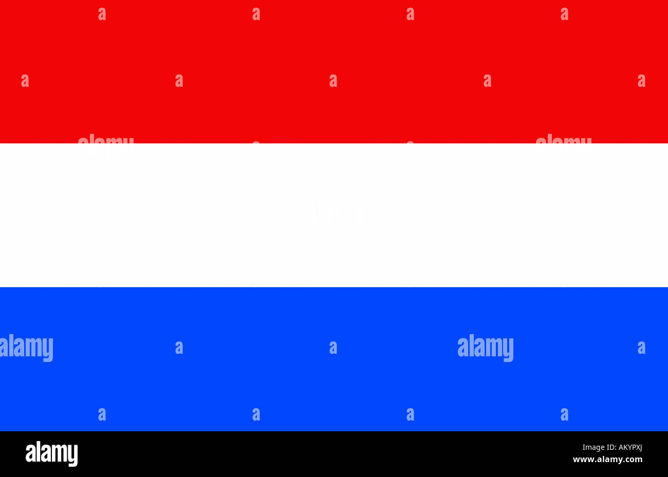 The flag of the Netherlands - graphic Stock Photo