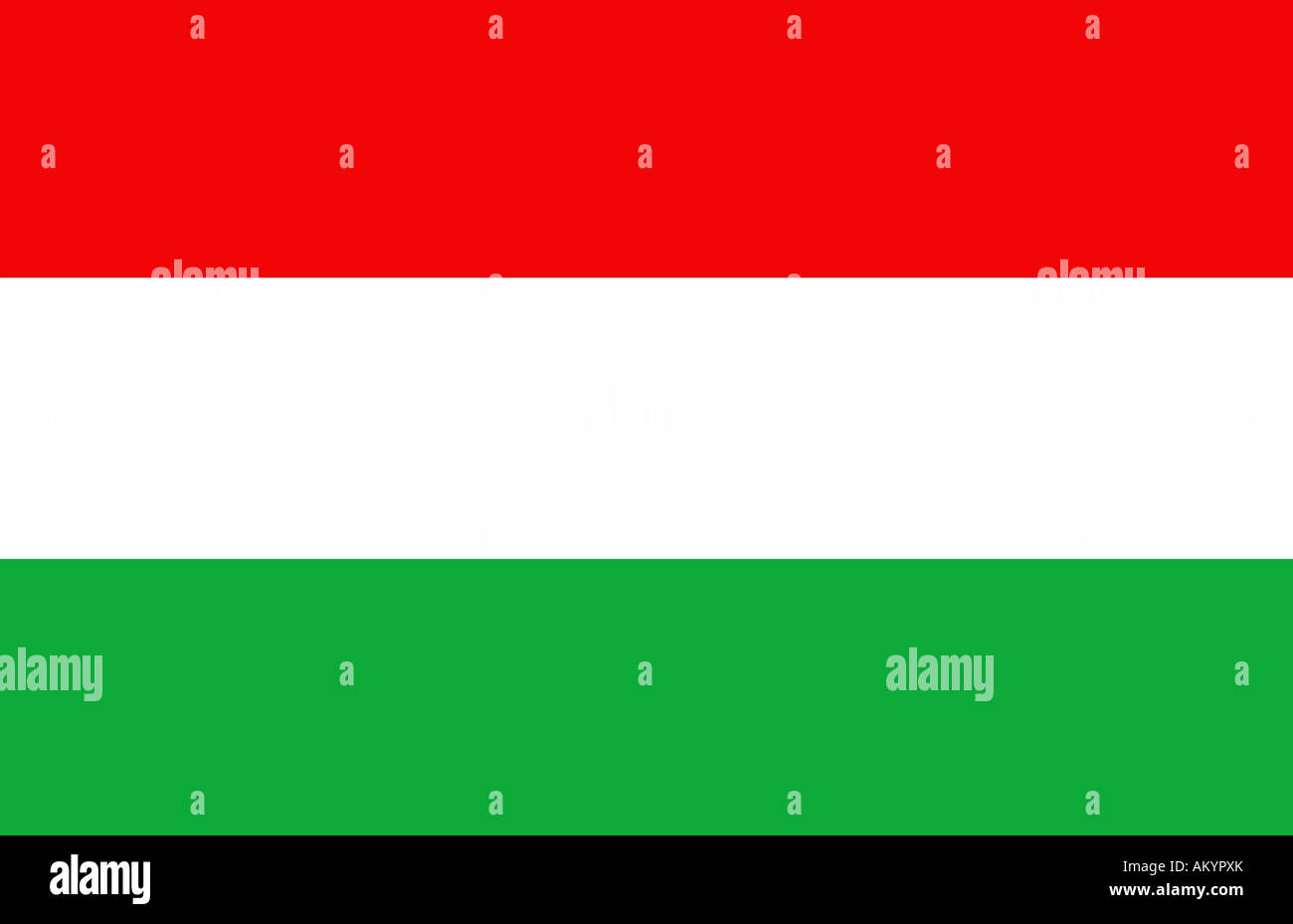 The flag of Hungary - graphic Stock Photo