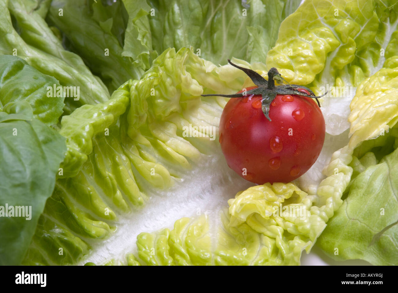 Salad leaves with tomato Stock Photo