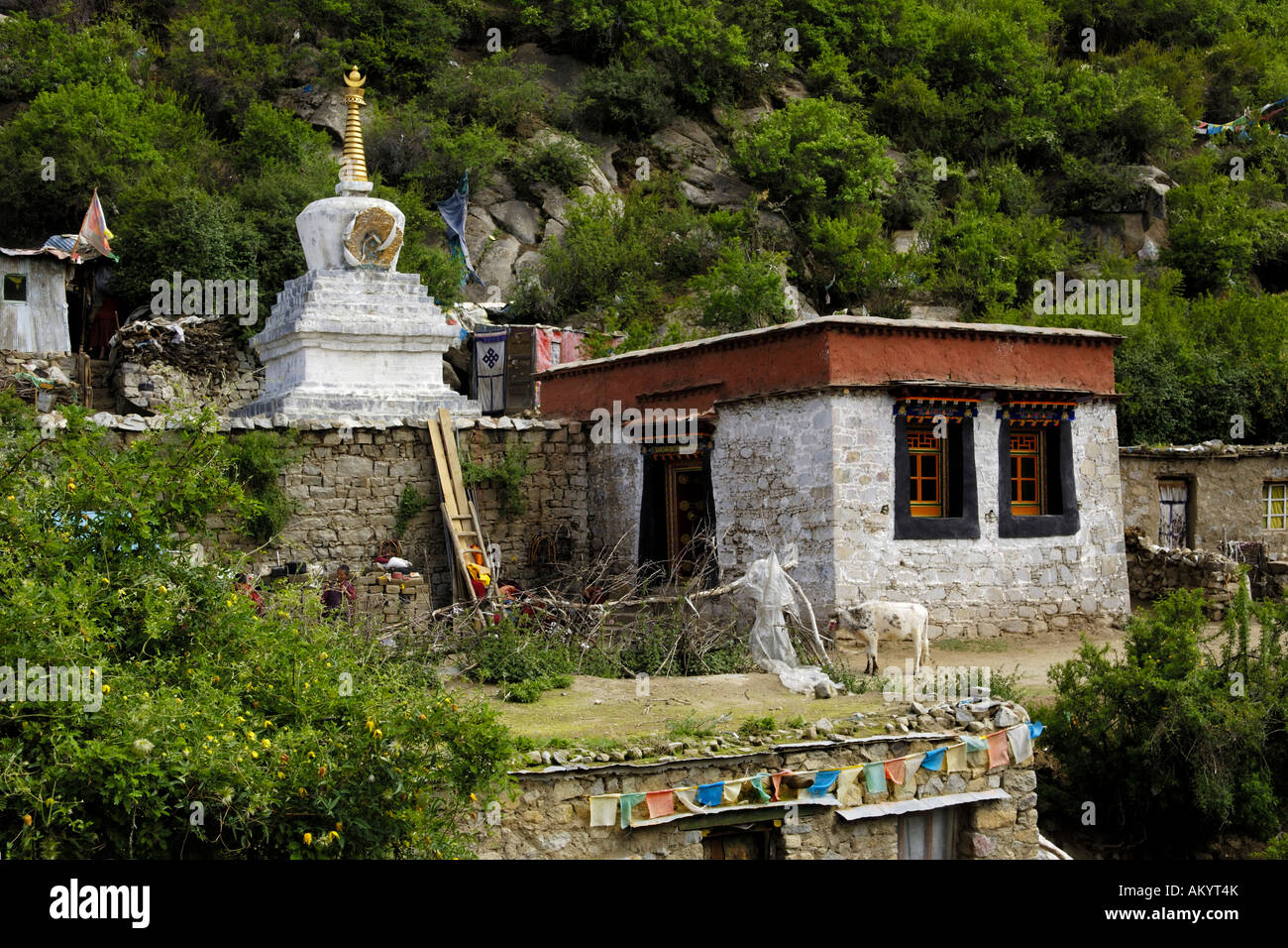 Stupa, Chim-puk Hermitage near Tsethang close to Lhasa, Tibet, Asia Stock Photo