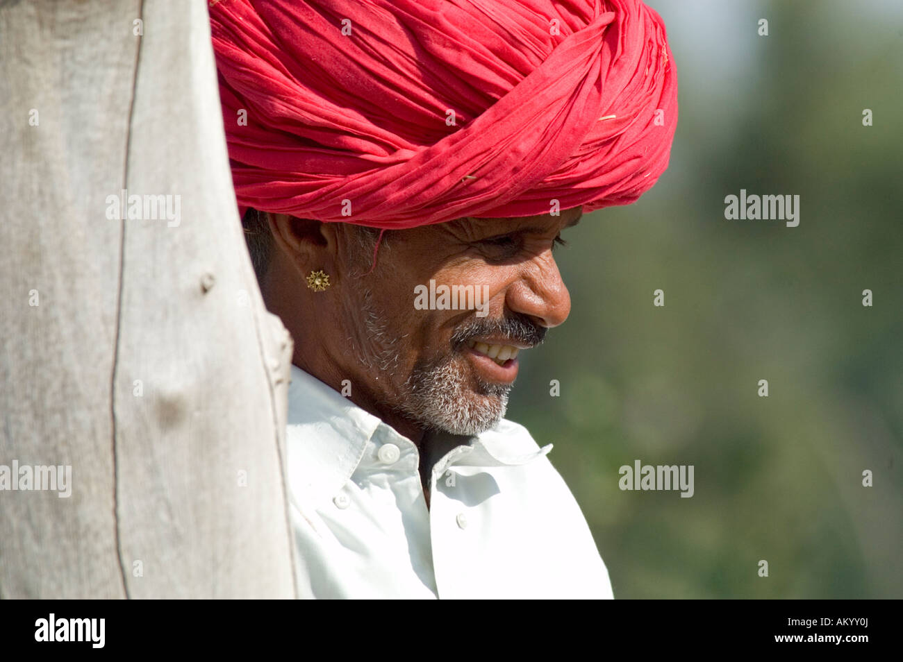 Durga, a Rajasthani farmer, in his fields in Nimaj, Rajasthan, India. - Stock Image