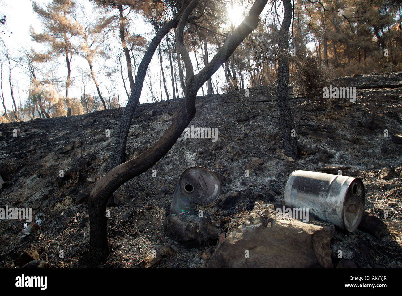 Greece four weeks after the fire on peloponnese. A container lying besides burnt trees between Vrina and Smerna. Peloponnese, G Stock Photo