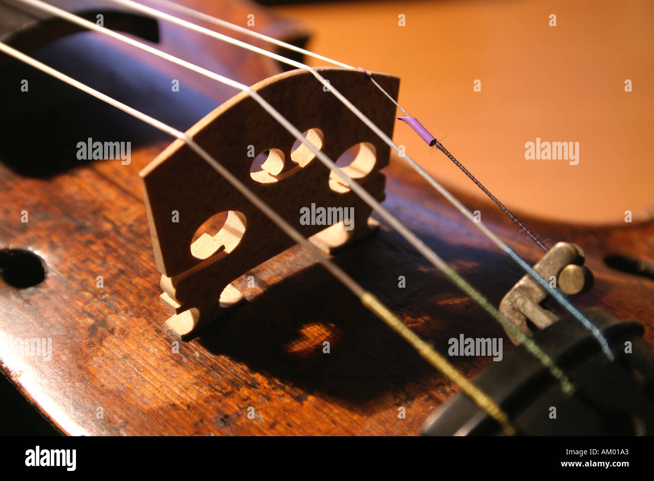 Close up of Violin Bridge and Strings Stock Photo Alamy