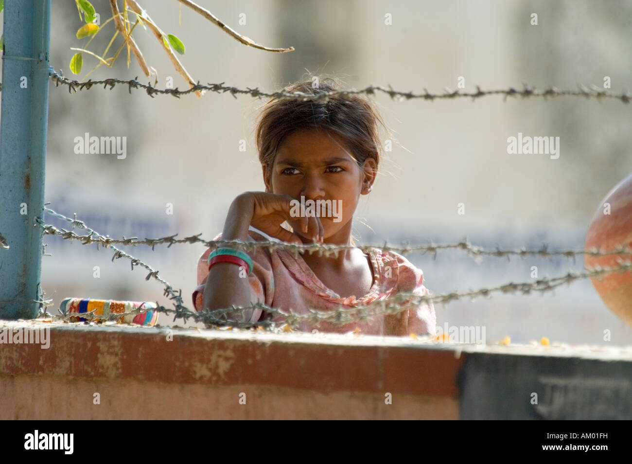 A young Dalit, or untouchable, girl gazes longingly into the courtyard of the village government school in Nimaj, India. Stock Photo