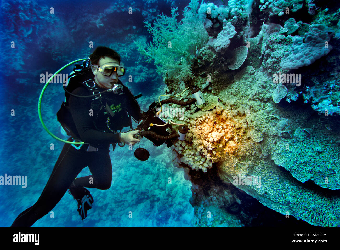 Diver with underwater camera, Red Sea, Egypt Stock Photo Alamy