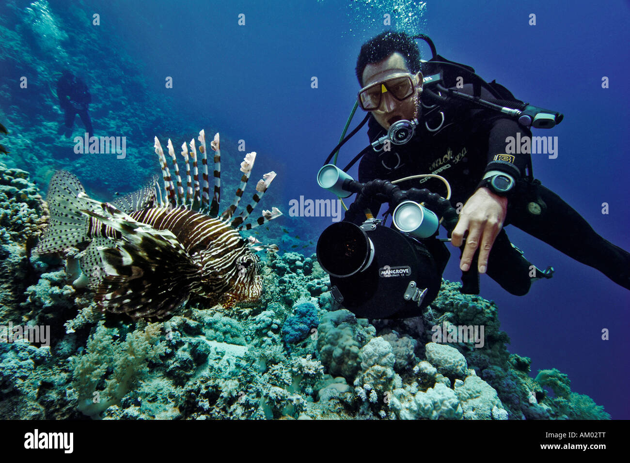 Diver with underwater camera, Lion fish, Red Sea, Egypt Stock Photo Alamy