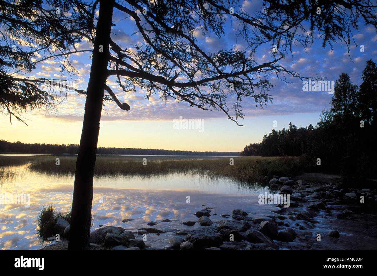 Mississippi River Source at Lake Itasca State Park Minnesota Stock Photo Alamy