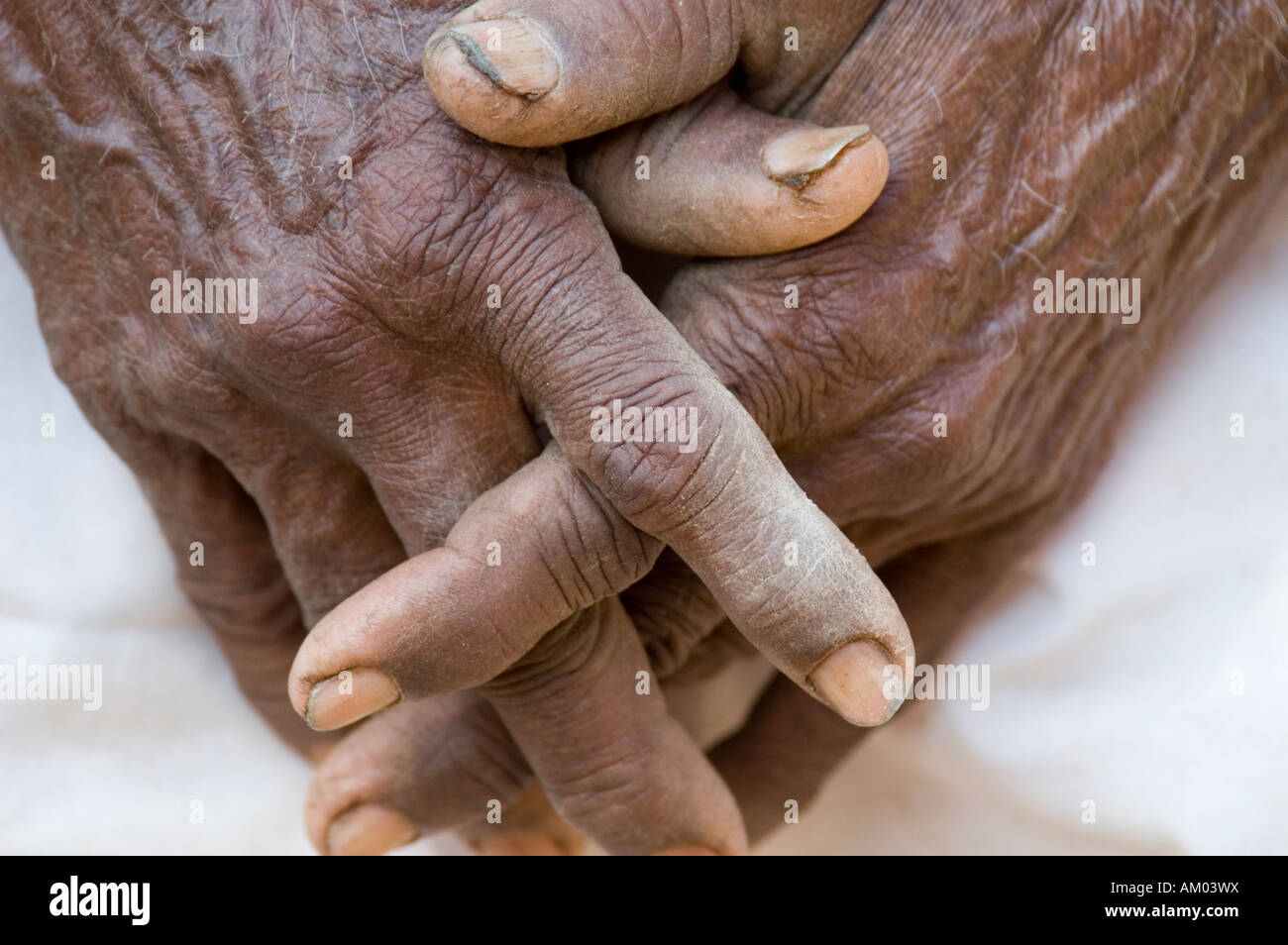 The hands of a laborer: an elderly Rajasthani man's hands clasped together in the village of Nimaj, Rajasthan, - Stock Image