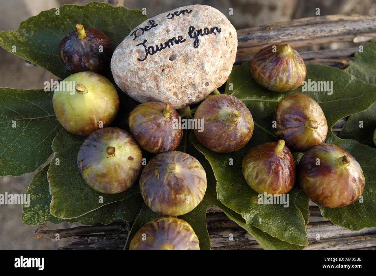 Various types of Figs on display at an outdoor stand Stock Photo Alamy