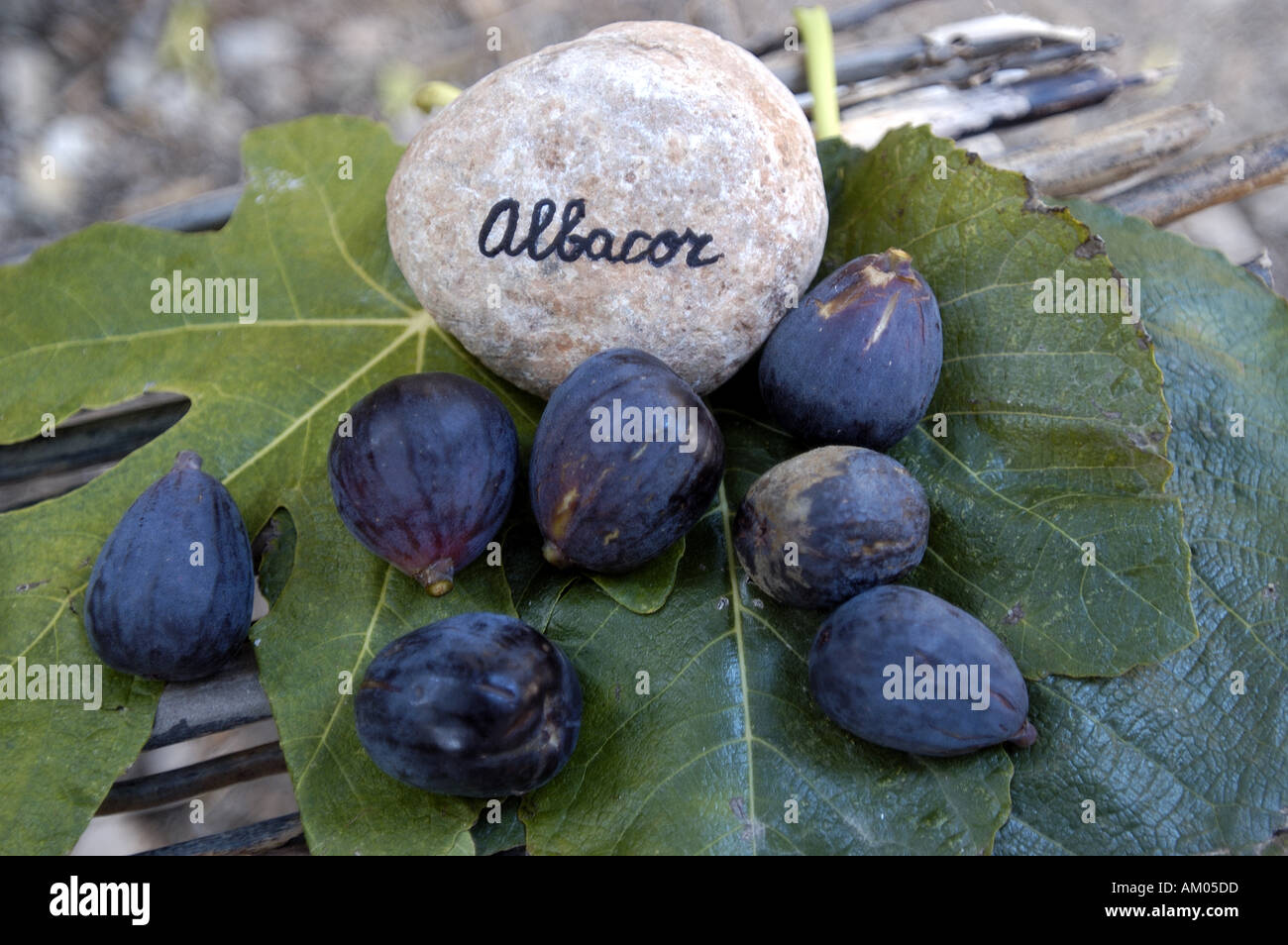 Various types of Figs on display at an outdoor stand Stock Photo Alamy