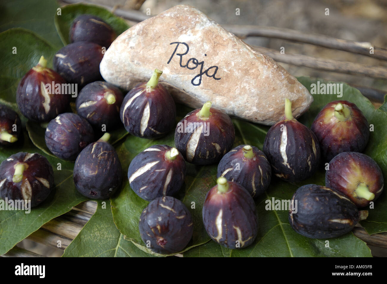 Various types of Figs on display at an outdoor stand Stock Photo Alamy