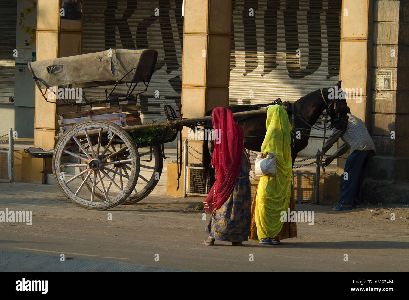 Rajasthani women with a horse cart in Jodhpur, Rajasthan, India. - Stock Image