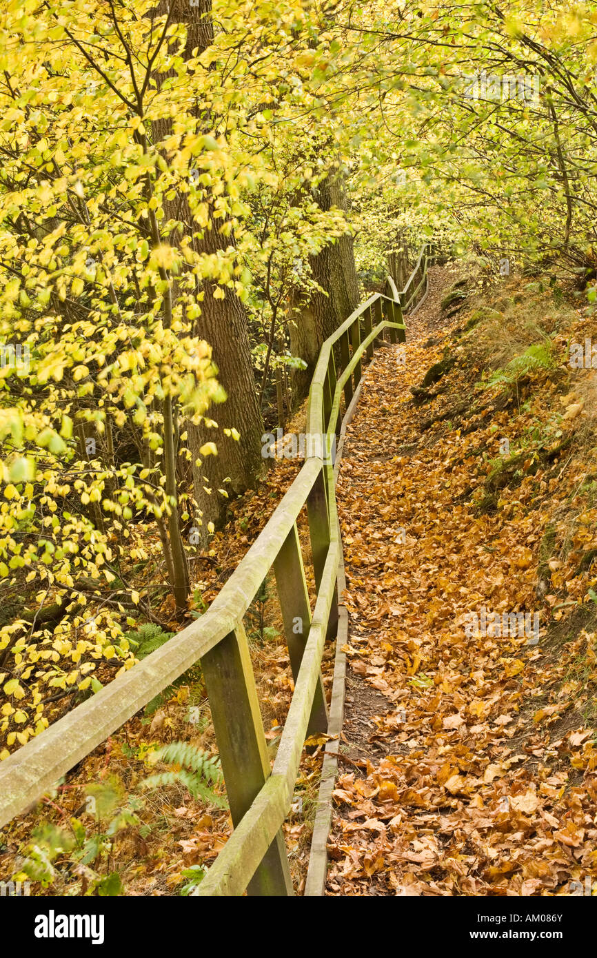 The path between Maxton and the River Tweed for people walking the