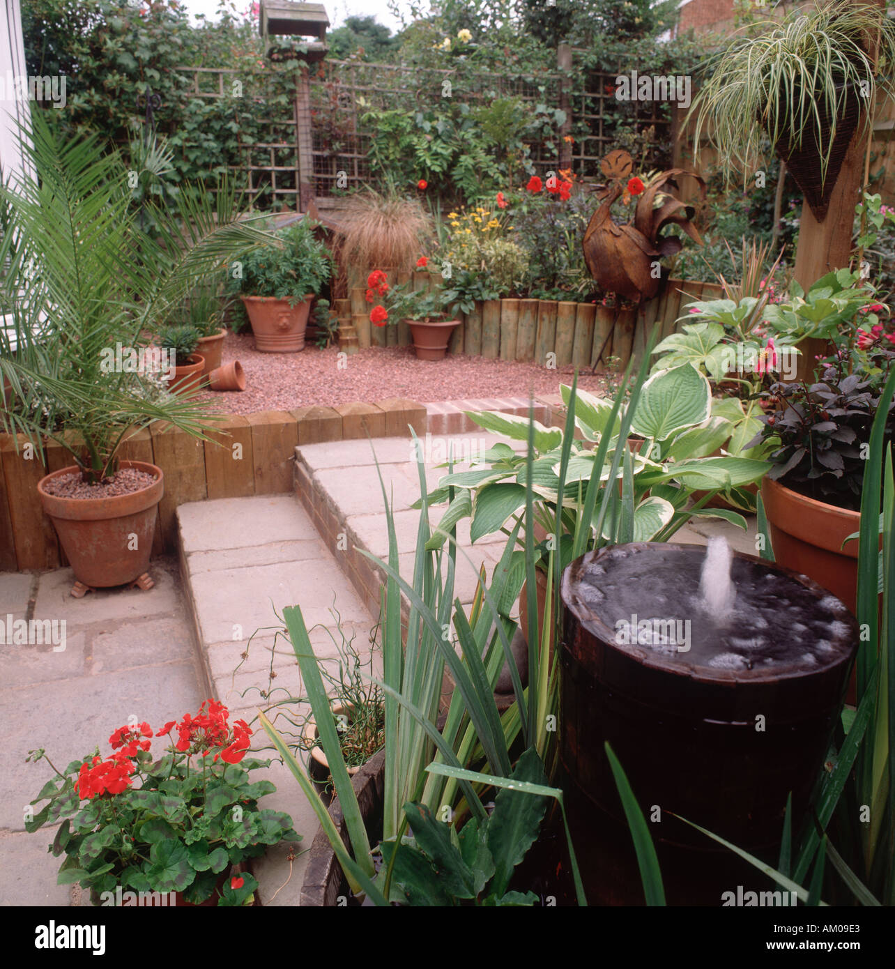 Grasses gravel garden hi-res stock photography and images - Alamy