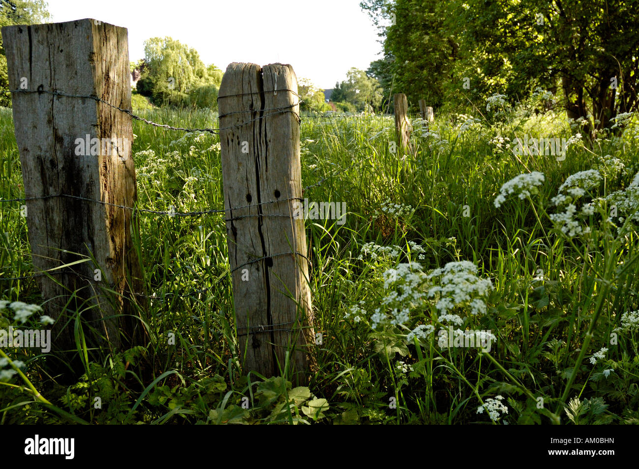 Old railway fence posts hi-res stock photography and images - Alamy