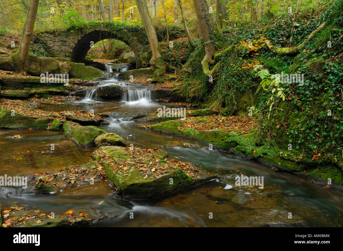 Autumnal mountain stream, old stone bridge Stock Photo
