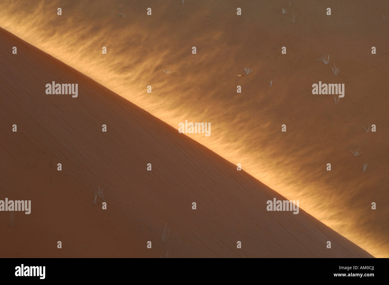 Detail of dune crest during sandstorm in back light, Namib Desert, Namibia, Africa Stock Photo