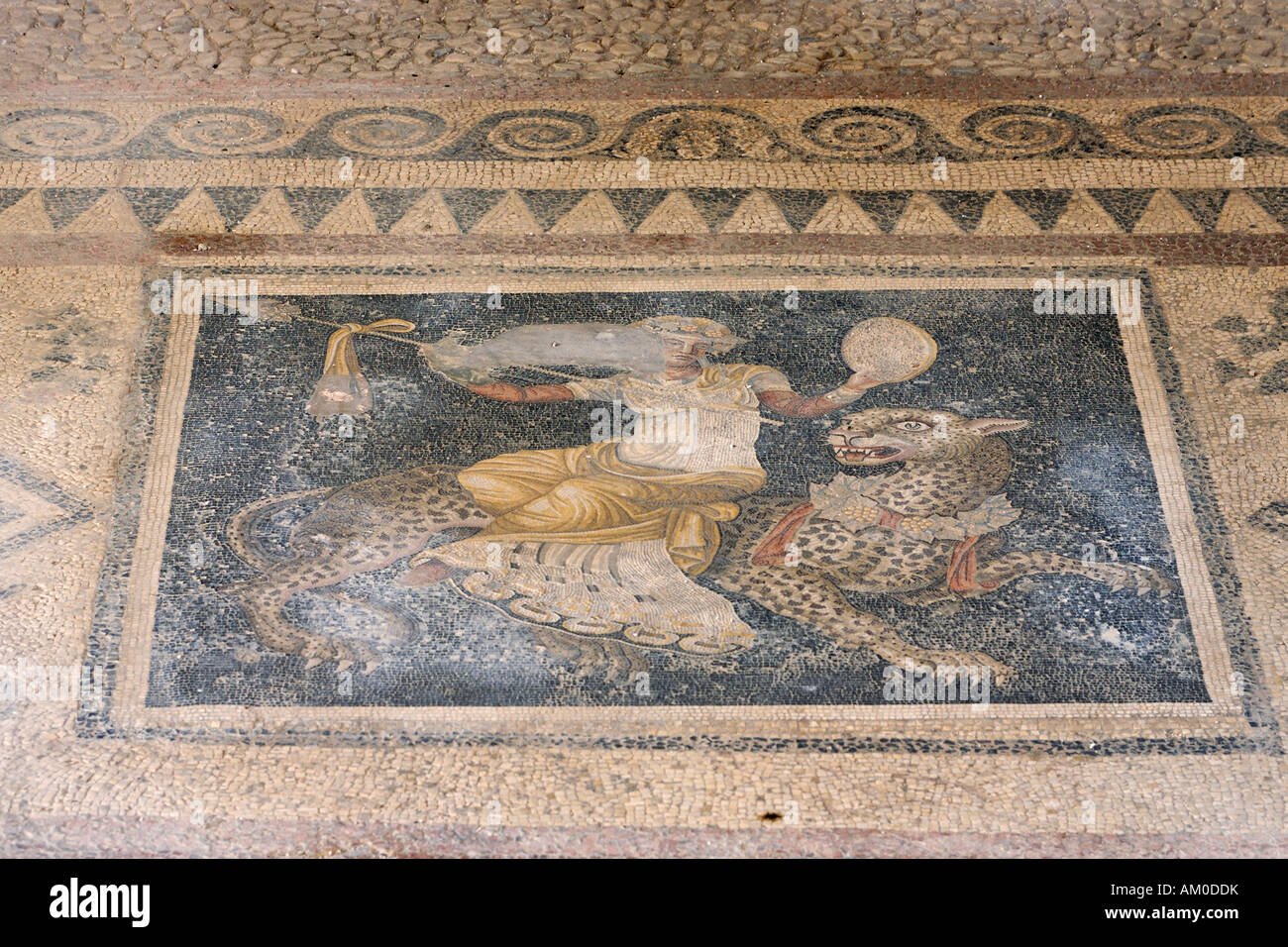 Mosaic showing Dionysos riding on a panther from House of the Masks, Delos,  Greece Stock Photo - Alamy