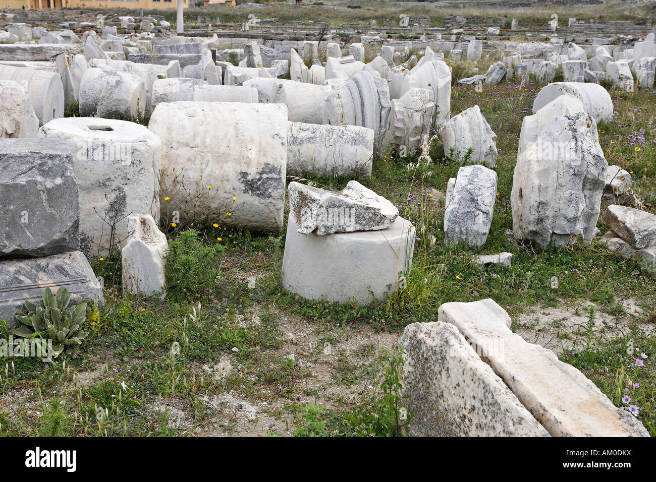 Delos Inscription Column Parts of columns , Delos, Greece Stock Photo - Alamy