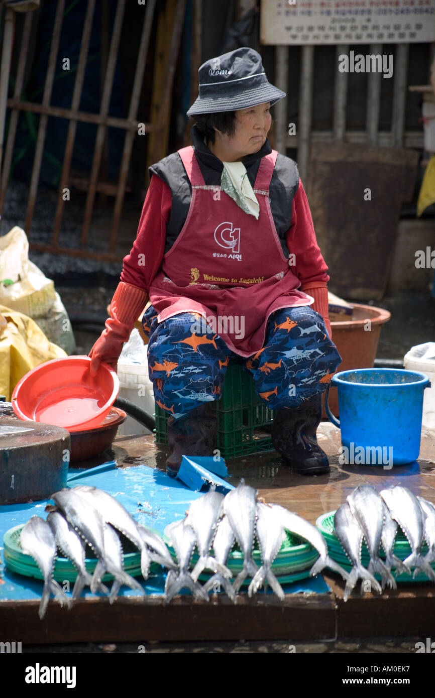 Azuma Fisherwoman selling seafood  at Jagalchi Fish Market Busan South Korea Stock Photo
