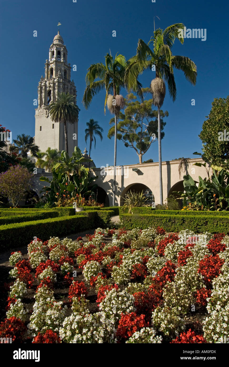 Alcazar Garden and California Tower, Balboa Park, San Diego, California, USA Stock Photo
