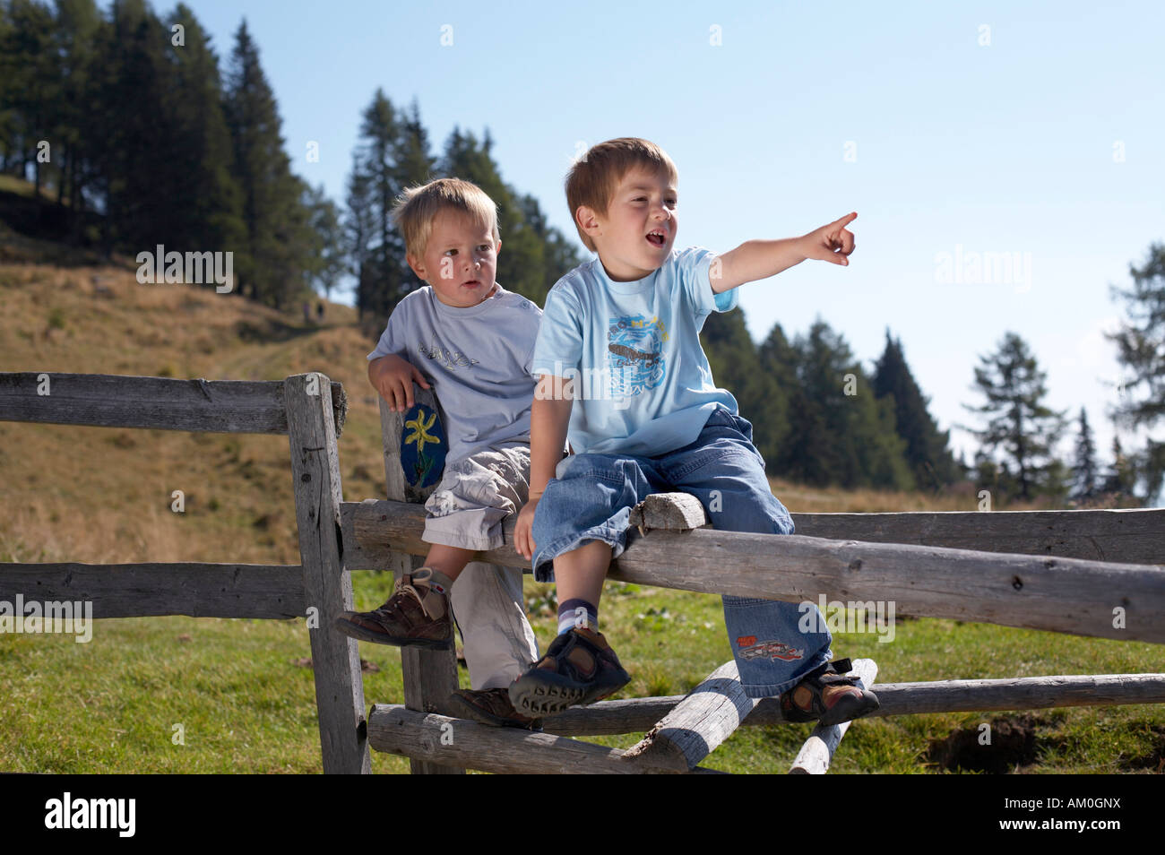 Two boys sitting on a fence, Carinthia, Austria Stock Photo