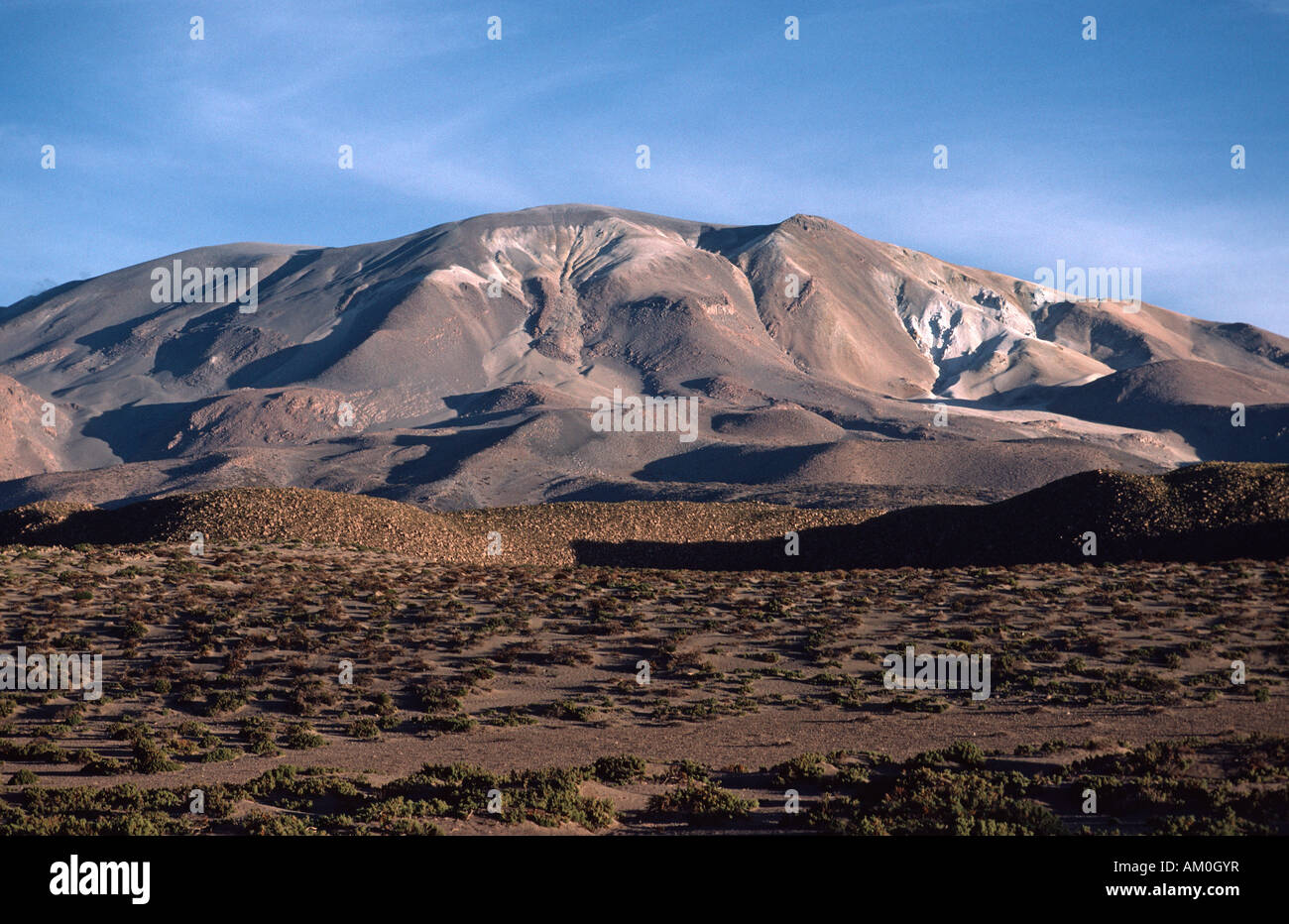 Isluga National Park the at Atliplano, Chile Stock Photo
