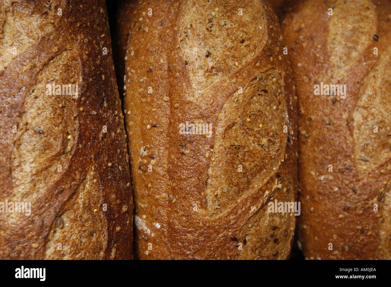 Various types of loaves of bread Stock Photo Alamy