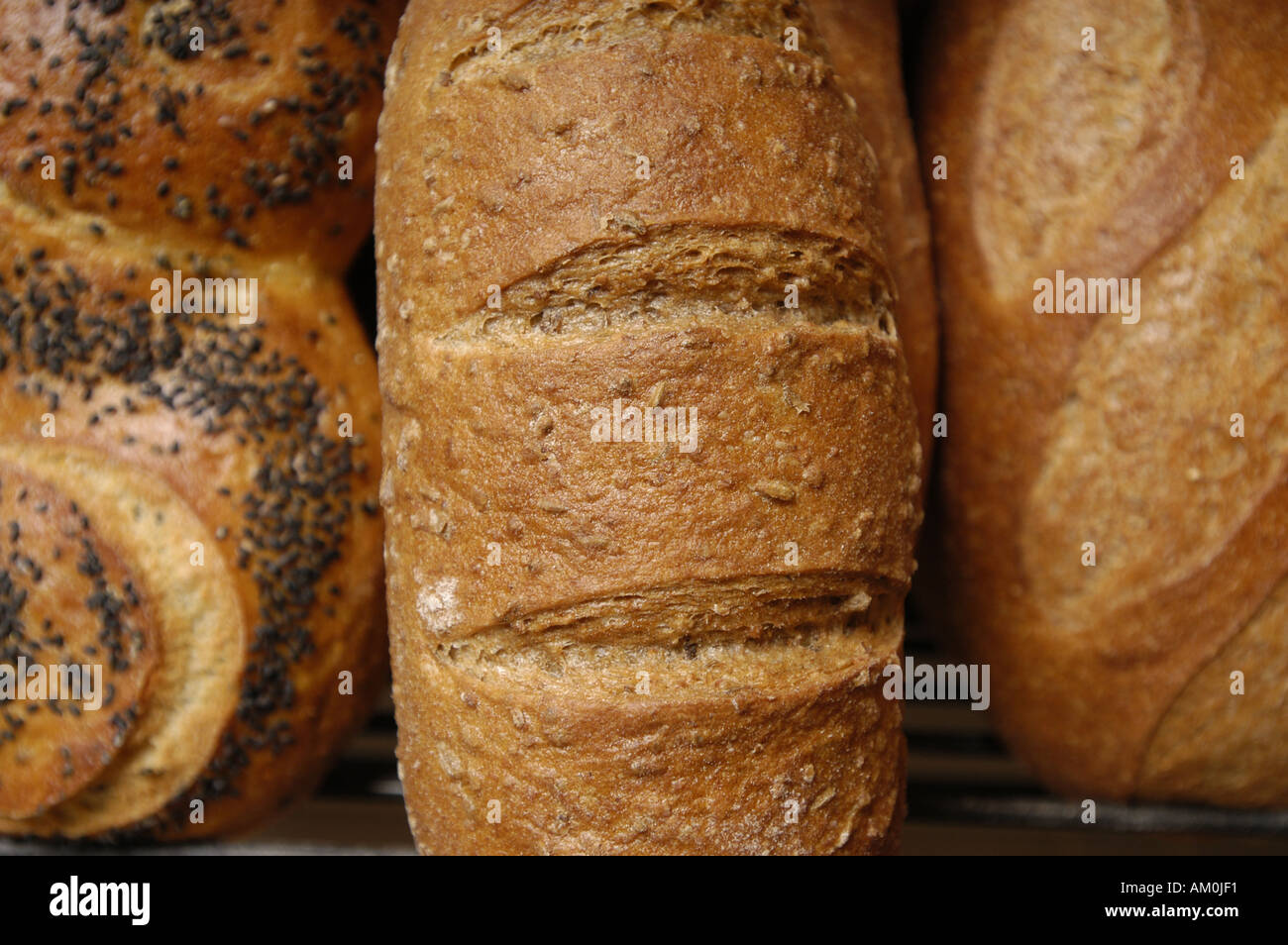 Various types of loaves of bread Stock Photo Alamy