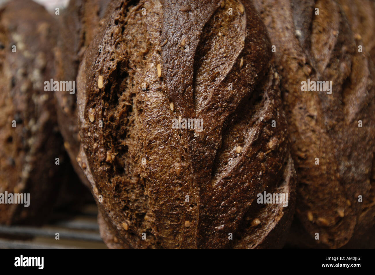Various types of loaves of bread Stock Photo Alamy
