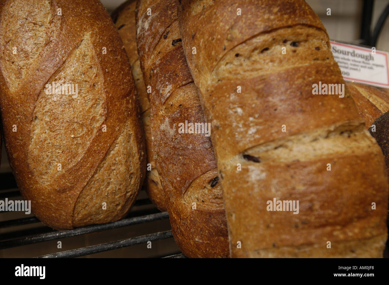 Various types of loaves of bread Stock Photo Alamy