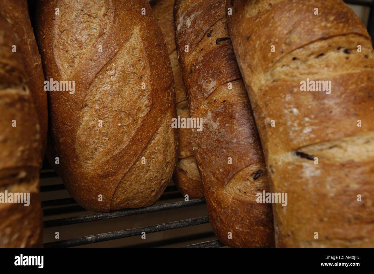 Various types of loaves of bread Stock Photo Alamy