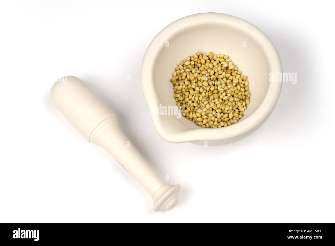 Pestle and mortar with coriander seeds Stock Photo