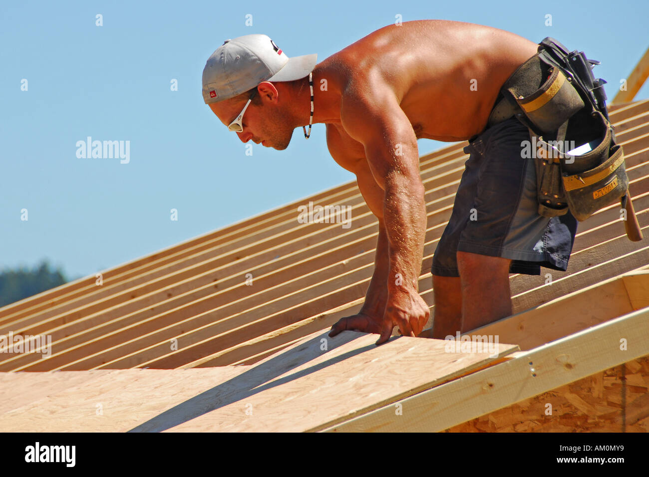 Carpenter placing plywood on roof trusses Stock Photo Alamy