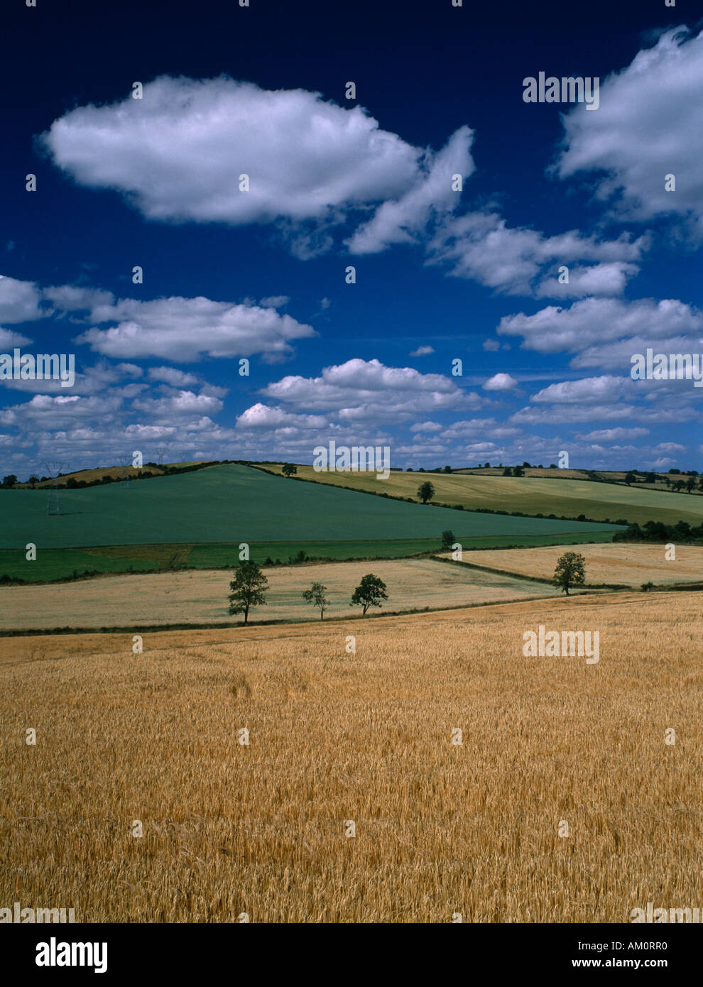 IRELAND Louth Farming Stock Photo