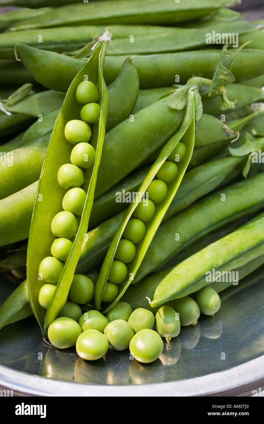 fresh organic green peas straight from the vine Stock Photo