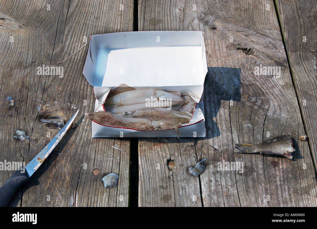 Cut up fish for bait hi-res stock photography and images - Alamy