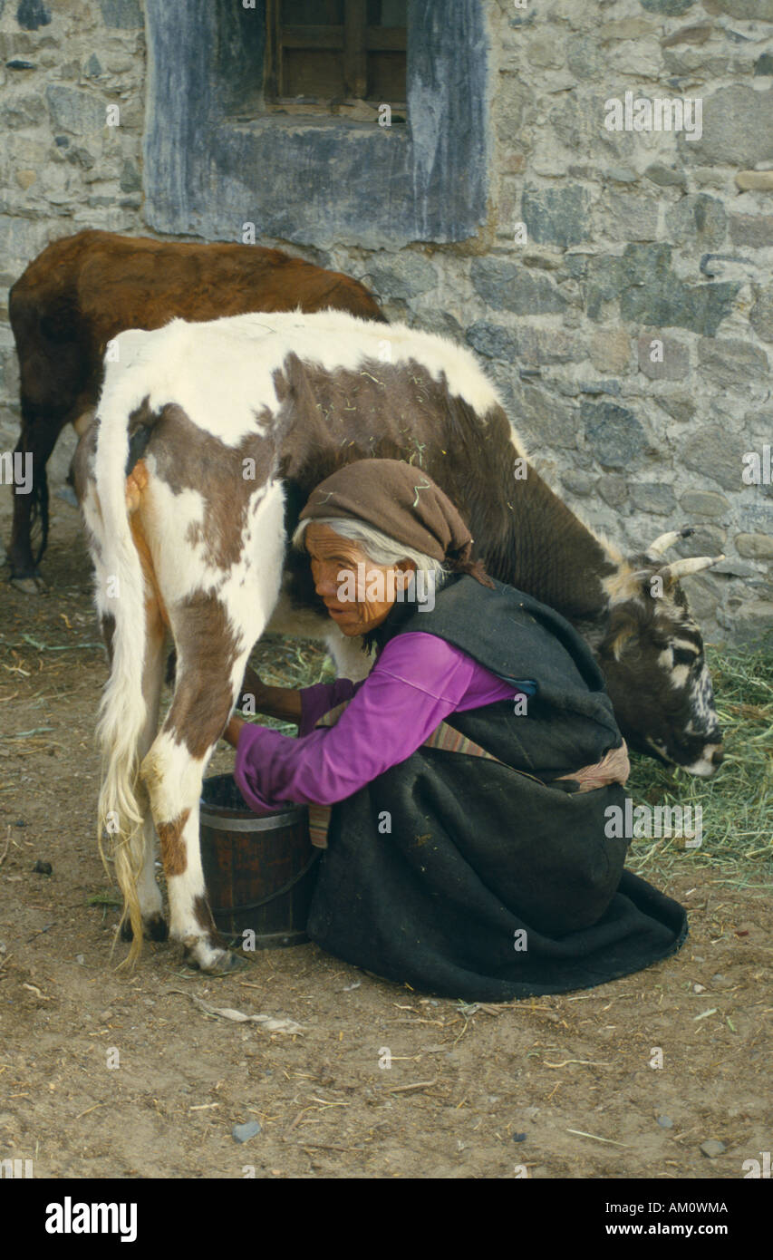TIBET Agriculture Stock Photo