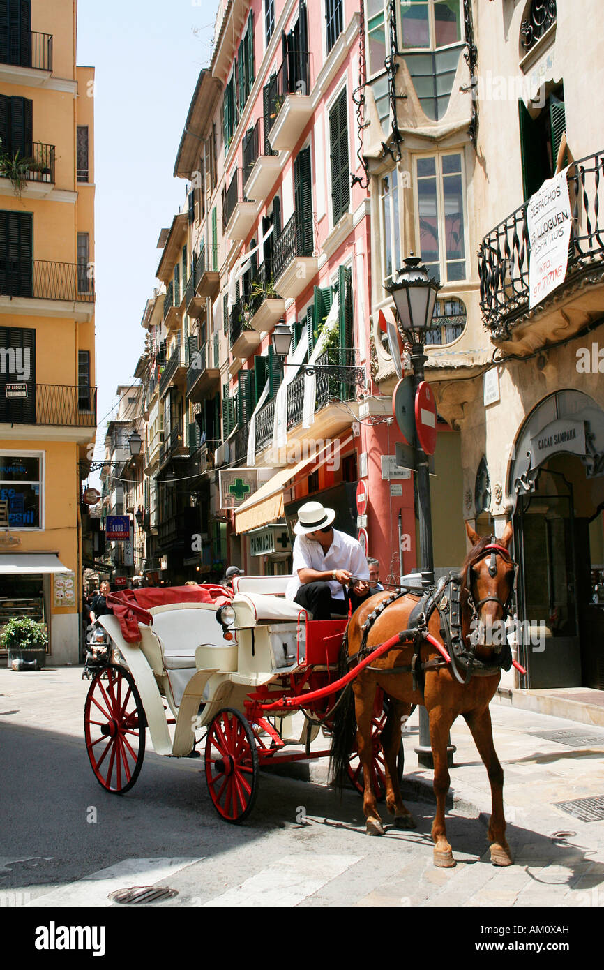 Horse-drawn carriage, Palma, Mallorca, Spain Stock Photo