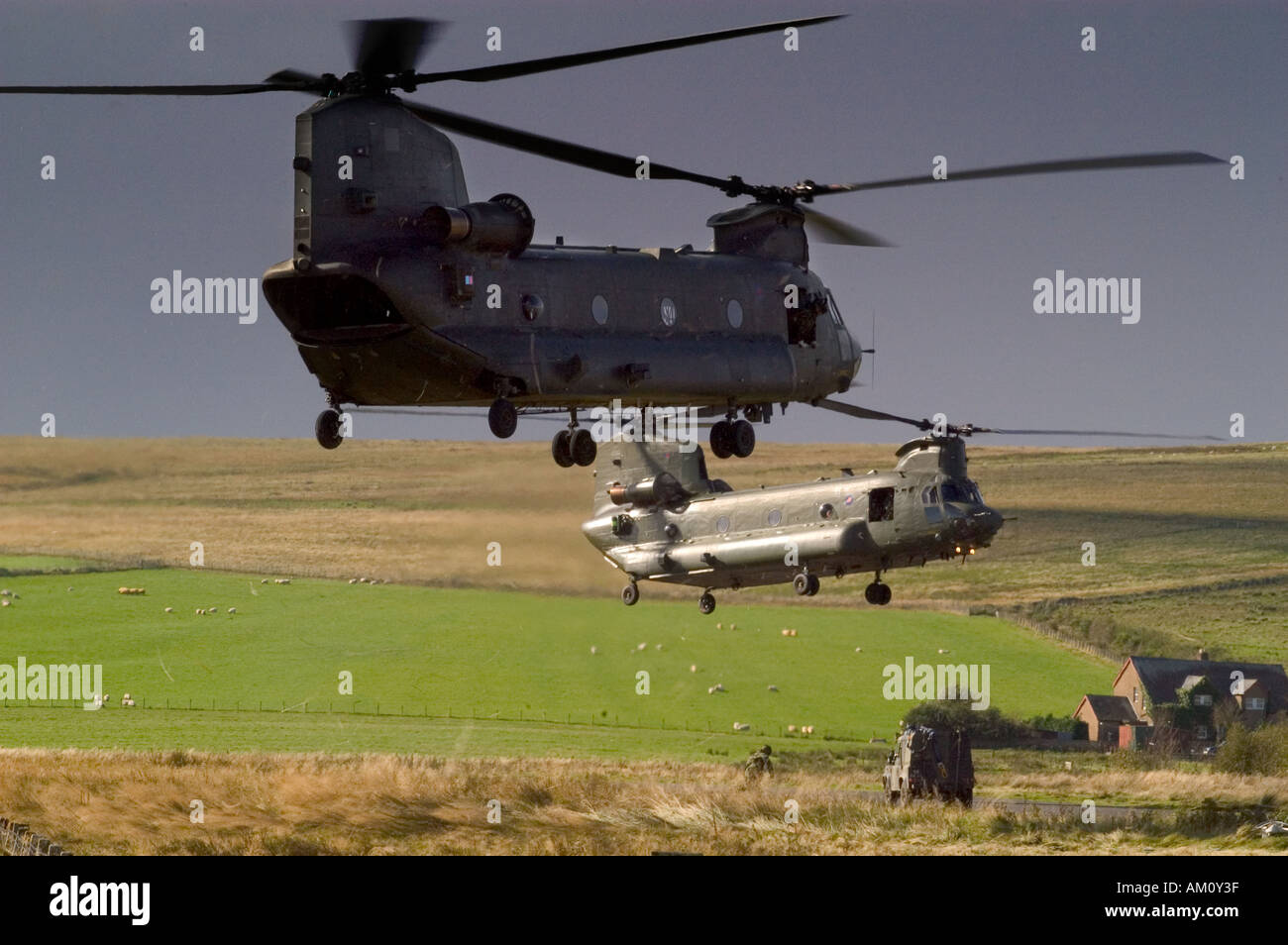 Two Boeing Chinook helicopters of 18 Squadron RAF on the Otterburn training area in the Northumberland National Park Stock Photo