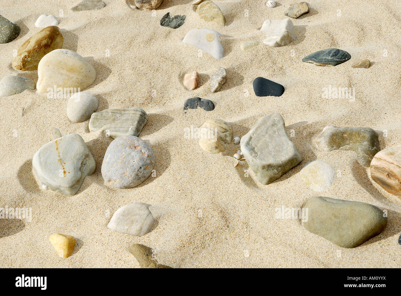 Polished pebbles grinded by sand and wind in sand dune Stock Photo