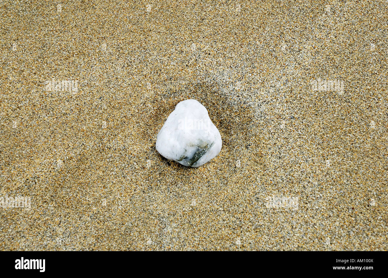 Bright quartz pebble with ore vein laying in sandy beach of tidal surf of Atlanic Ocean, Ireland Stock Photo