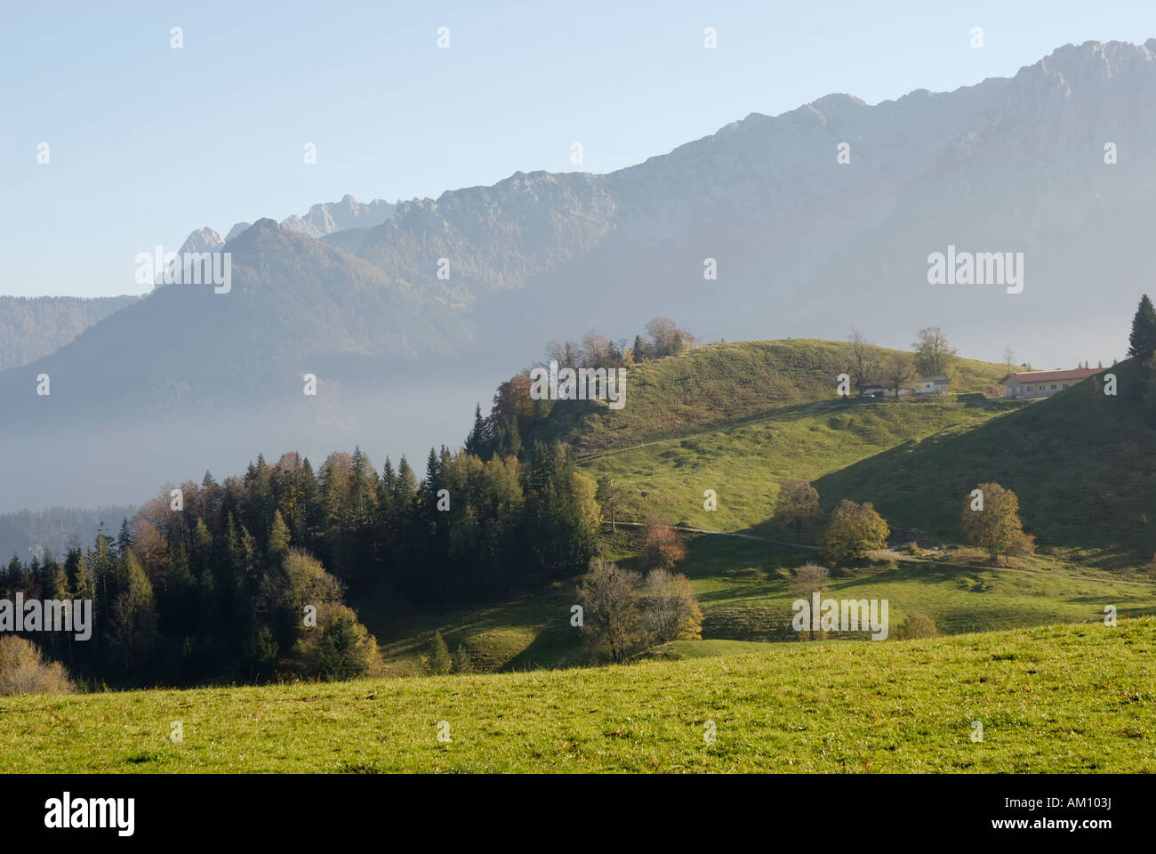 Autumnal alpine pasture brightened by evening sun, Tyrol Austria Stock Photo