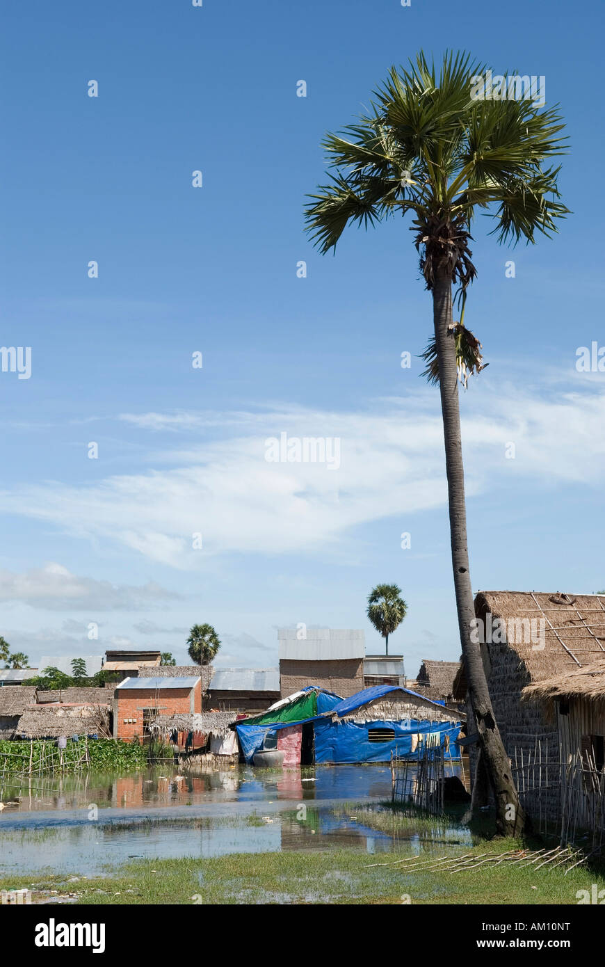 Cambodia people phnom penh slum slum people hi-res stock photography ...