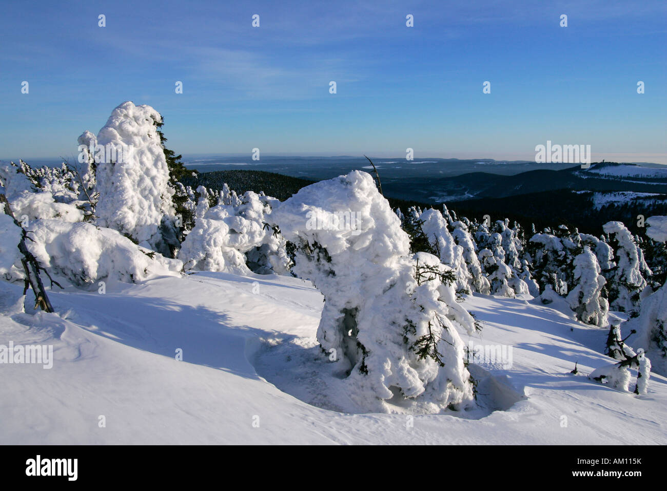Landscape with snow-covered conifers in the German national park Hochharz in winter at the top of the Brocken mountain - Brocke Stock Photo