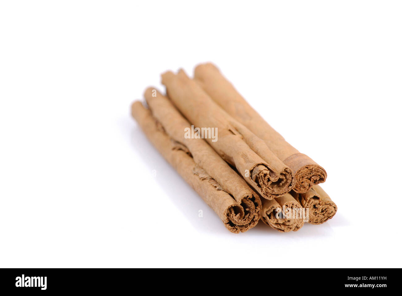 Cinnamon bars, cinnamomum Stock Photo