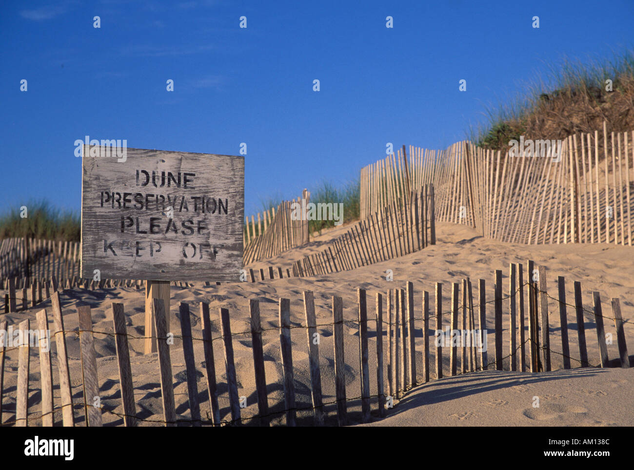 Dune Erosion Protection Area Nantucket MA Stock Photo