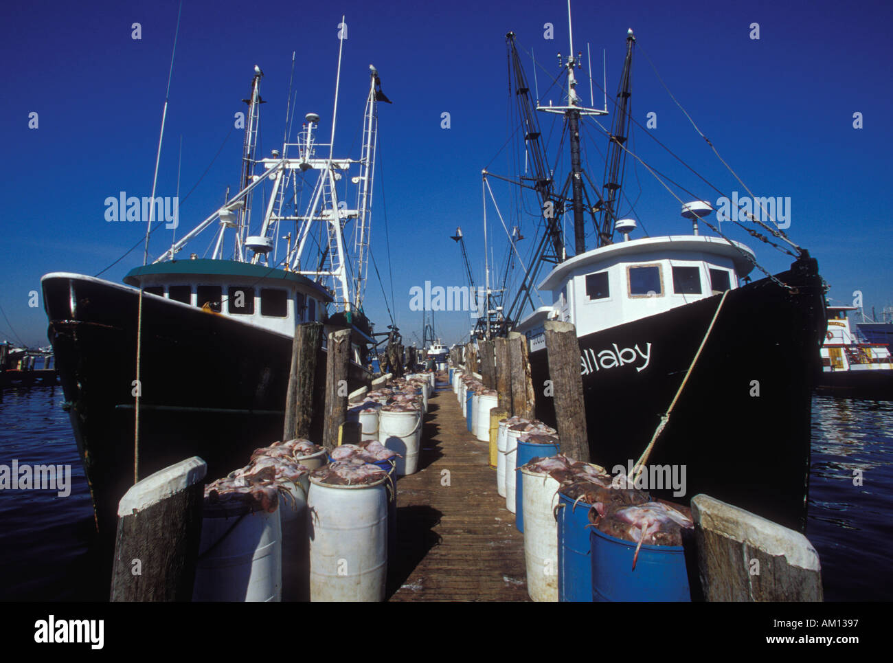 Fishing boat point judith rhode hires stock photography and images Alamy