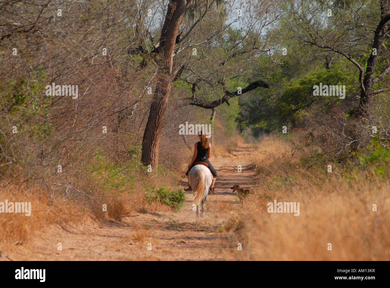 Young woman riding away through the dry forest, Gran Chaco, Paraguay Stock Photo